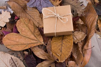 Gift box of brown color and heart shaped cut leaf and other leaves