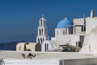 Whitewashed architecture in Pyrgos