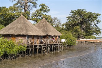 Huts on stilts at Bintang Bolong Lodge on a branch of the Gambia River