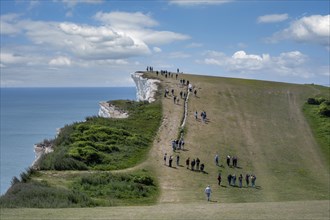 Tourists walking along the chalk cliffs at Beachy Head