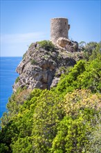 Watchtower Torre des Verger on the cliff