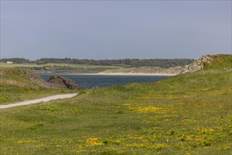 Beach and Coast