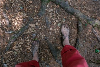 Feet of a man on the Wuppenau barefoot path on the Nollen