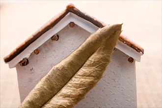 Leaf and a model house on a brown background