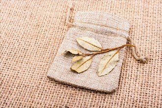 Dry green leaves on a sack on linen canvas