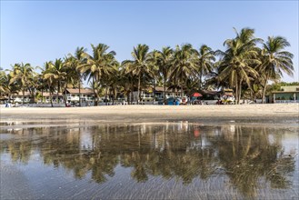 Palm trees on Kotu beach reflected in the shallow water at low tide