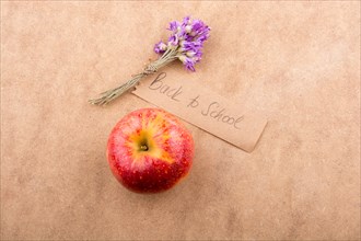 Back to school lettering with an apple and flower