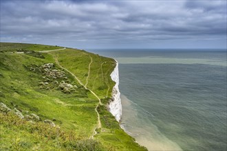 Footpaths along the chalk cliffs of Dover