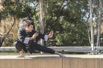 Young man practicing Kung Fu in the park