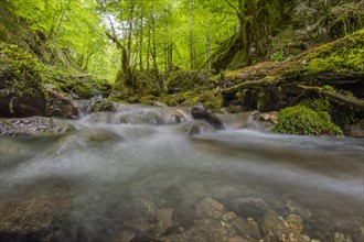 Underwater photograph of a waterfall in the UNESCO World Heritage Beech Forest in the Limestone Alps National Park