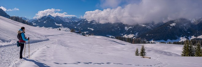 Panorama High Trail