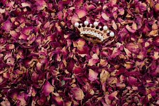 Crown is placed on background of dried rose petals
