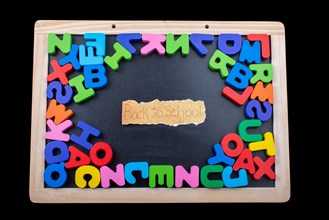 Back to school andColorful Letters of Alphabet made of wood