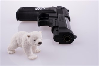 Polar bear near a pistol