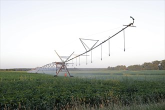 Field irrigation