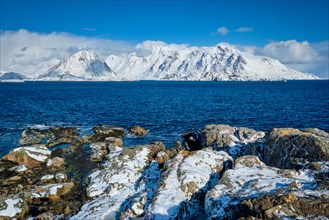 Lofoten islands and Norwegian sea in winter with snow covered mountains. Lofoten islands