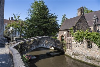 Boniface Bridge and Medieval Buildings