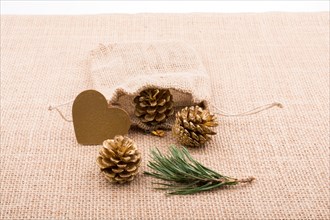 Pine cones out of sack on a canvas background