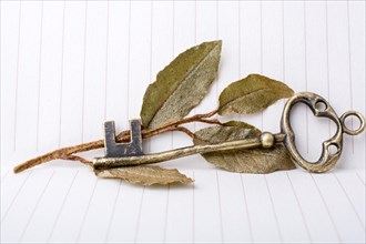 Plenty of Retro styled golden color keys