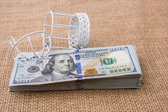 Birds cage placed on bundle of US dollar banknote