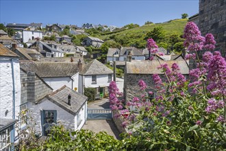Historic village centre of Port Isaac with 18th and 19th century cottages