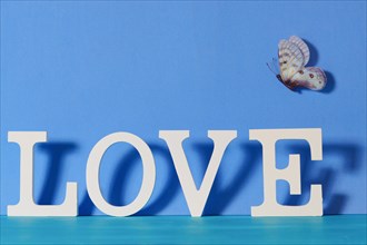 Word love written in white wooden letters with blue background and flying butterflies
