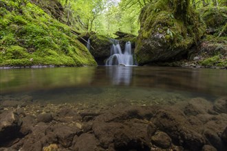 Underwater photograph of a waterfall in the UNESCO World Heritage Beech Forest in the Limestone Alps National Park