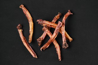 Top view of natural dried treats for dogs. Dried trachea for rewarding dogs