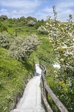 Footpath along the chalk cliffs of Dover