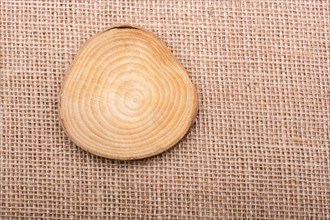 Small piece of cut wood logs used for wood texture background