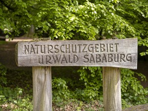 Wooden sign at the entrance to the Sababurg primeval forest