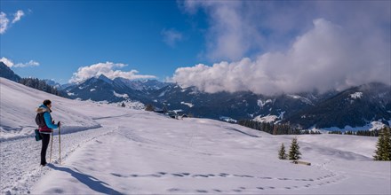 Panorama High Trail