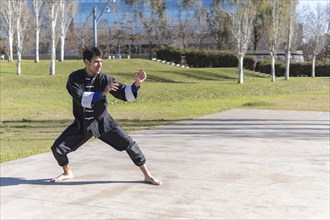 Young man practicing Kung Fu in the park