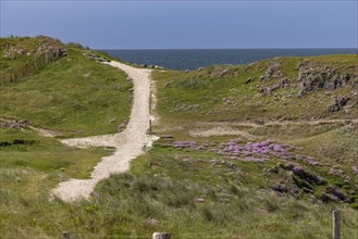 Beach and Coast