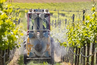 Tractor in vineyard spraying pesticide