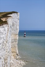 Lighthouse and white chalk cliffs at Beachy Head