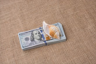 Sea shell placed on bundle of US dollar banknotes