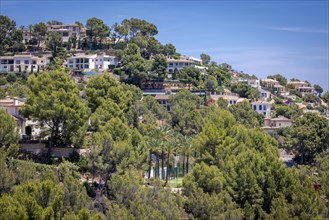 Hill with villas in the luxury district of Son Vida