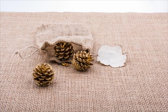 Pine cones out of sack and burnt paperon canvas