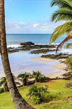 Rocky beach with calm sea surrounded by rocks and vegetation in Serra Grande in Bahia