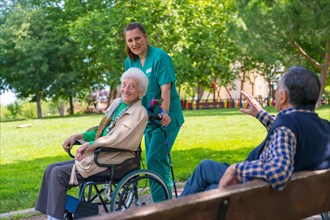 An elderly woman with the nurse on a walk in the garden of a nursing home in a wheelchair in nature and greeting an elderly man