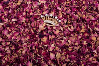 Crown is placed on background of dried rose petals