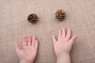 Pine cones beisde toddlers hands on a canvas background
