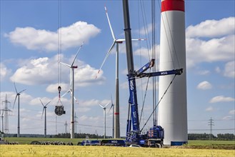 Sintfeld wind farm