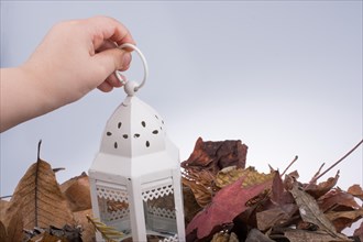Little bird house made of metal on Autumn leaves