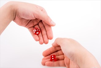 Hand holding red dice on a white background