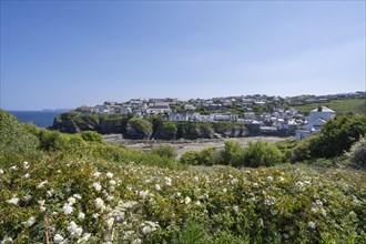 View over the fishing village of Port Isaac