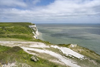 Footpath along the chalk cliffs of Dover