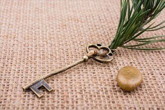 Plenty of Retro styled golden color keys
