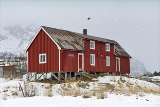 Warehouse at the harbour of Henningsvaer